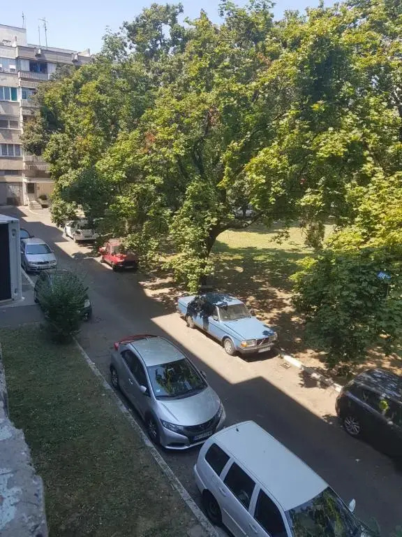 Apartman Wish