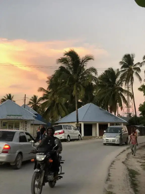 Mlango Paje Villa Boutique