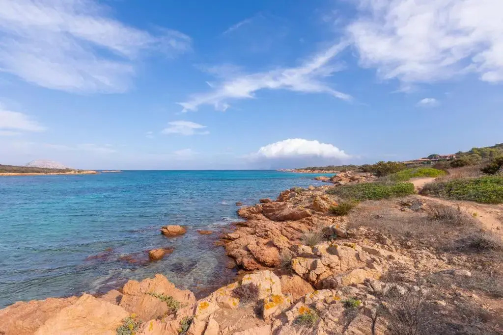 Villa Nini With Sea View