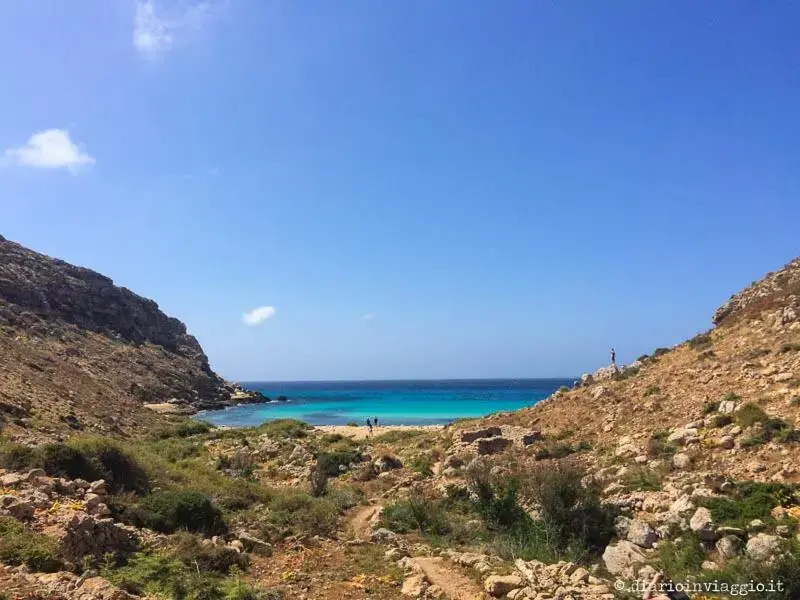 Casa Vacanza Delfino Rosa