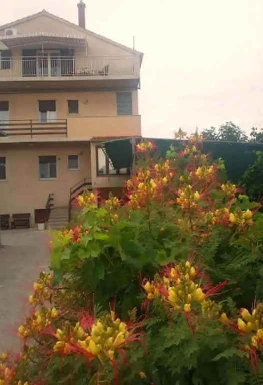 Apartments Ognjen