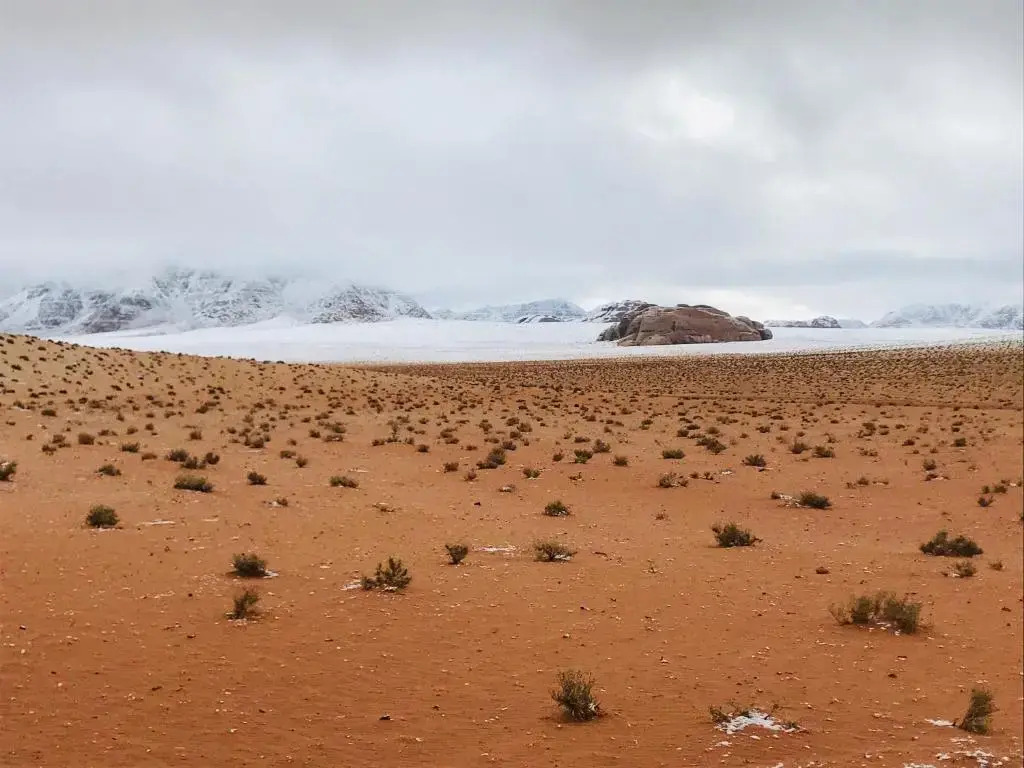Wadi Rum Magic Nature Camp