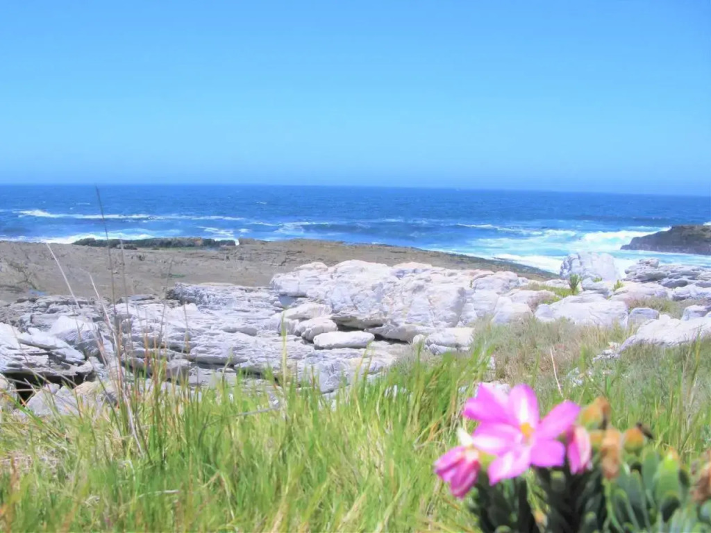 Whale View Guest House