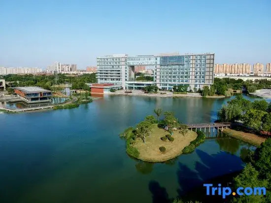 M·S Bauhinia Hotel