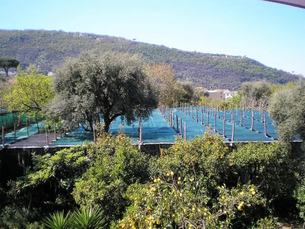 Itaca B&B