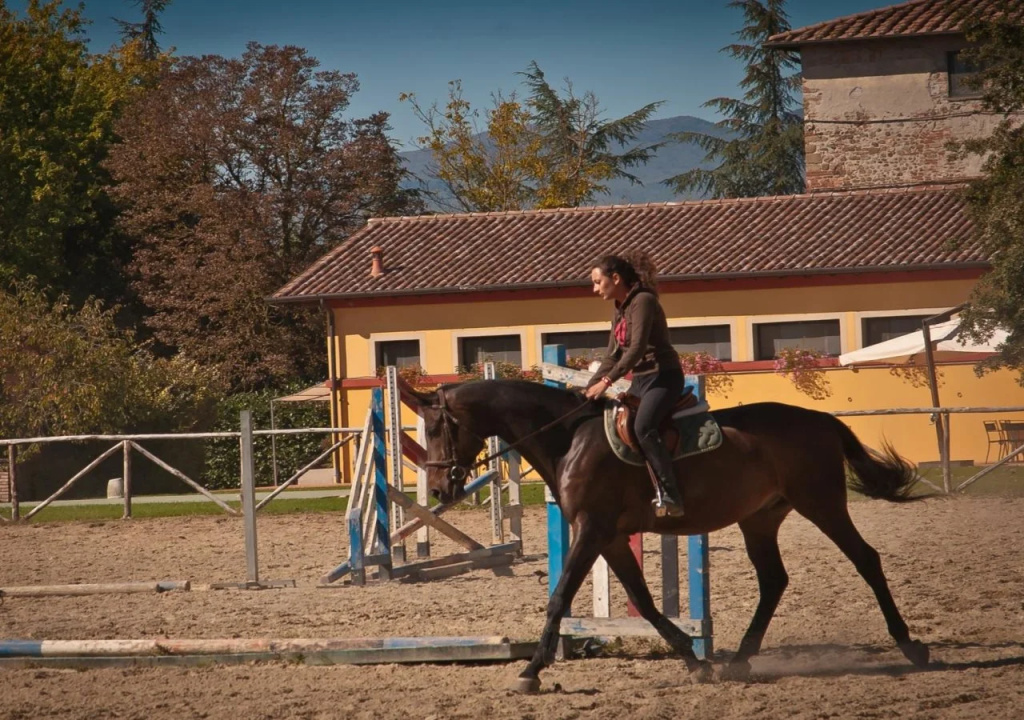 Podere Violino