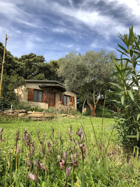 La Cerca Del Alcornoque