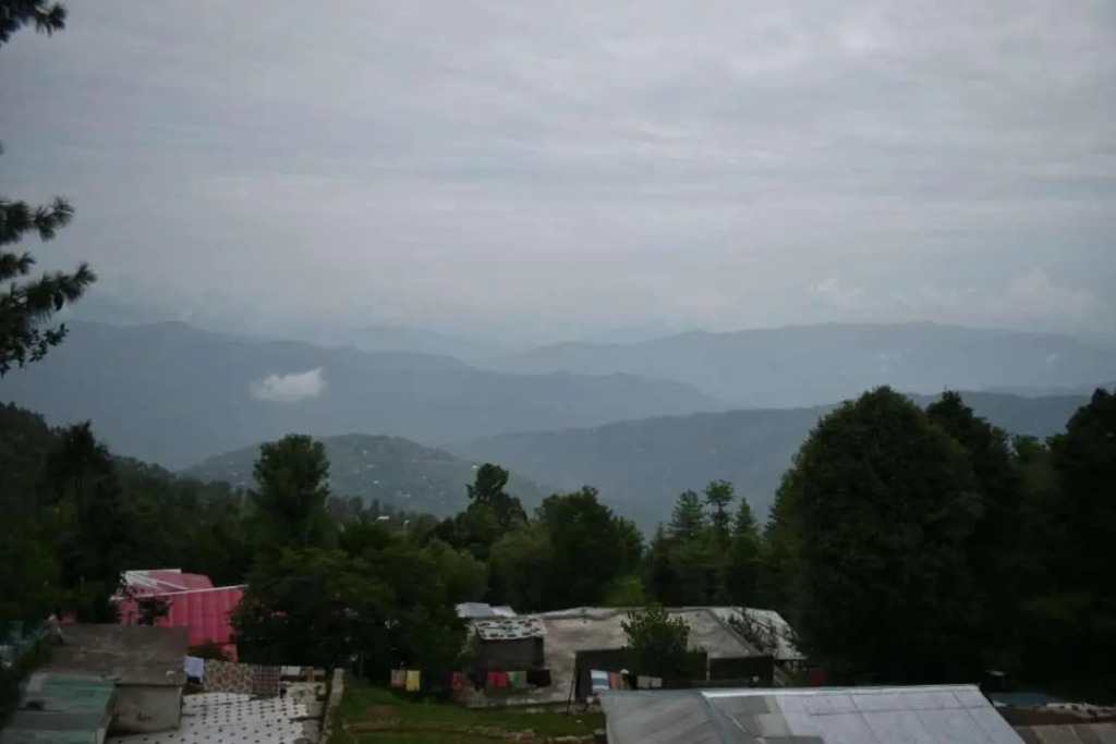 Janjua lodges Murree