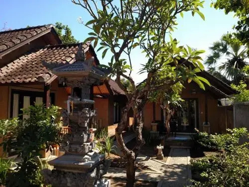 Pacha Hostel