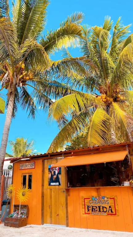 Cabañas Frida