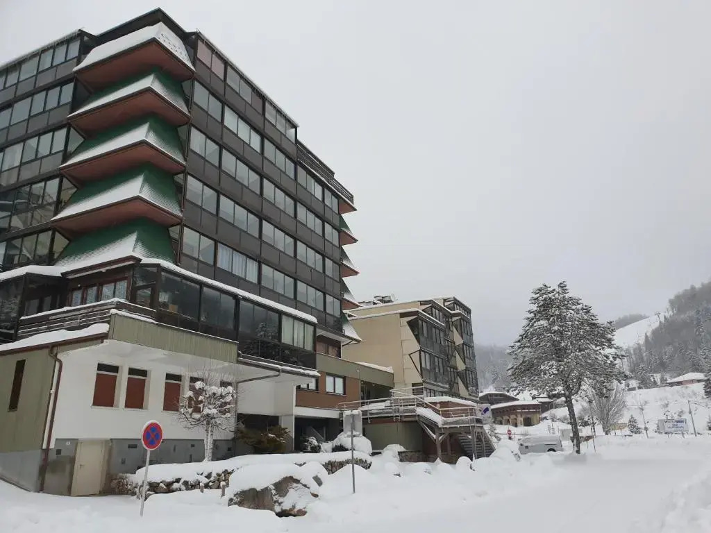 Residence Belle Hutte Cote Pistes de Ski