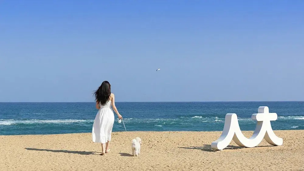 Sokcho World Pet-Friendly  Pension