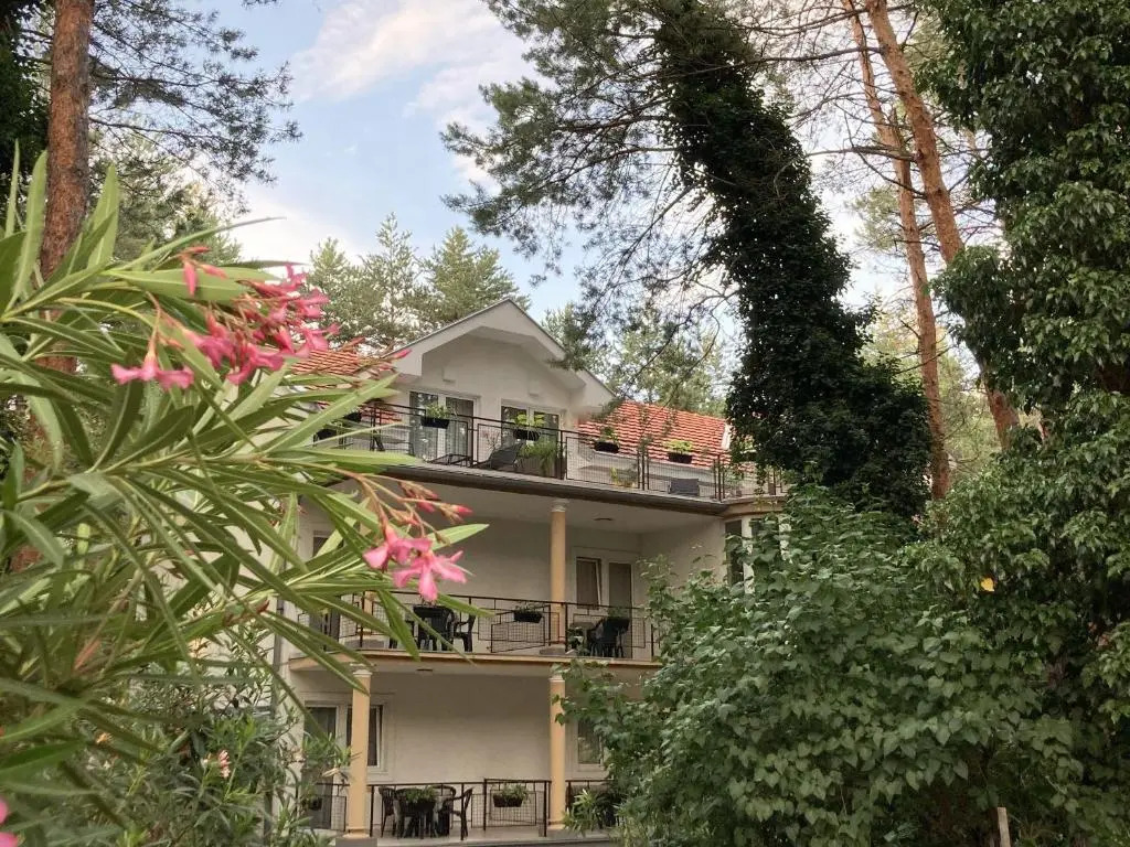 Vila Dunavski Raj