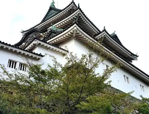 Tsukiji Hostel Wakayama 2