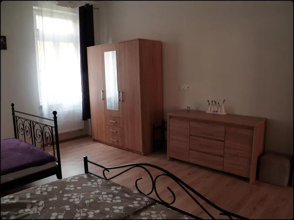 Apartment Krále Jiřího