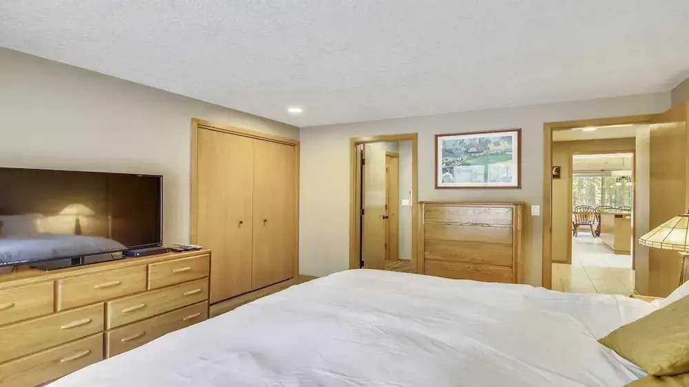 Conifer 10