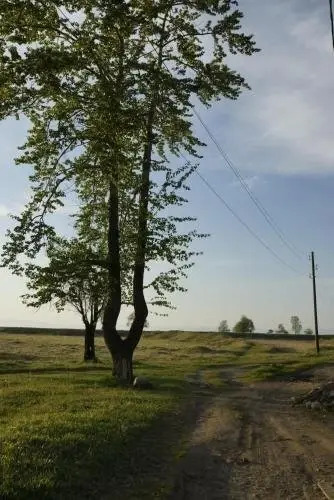 Надежда