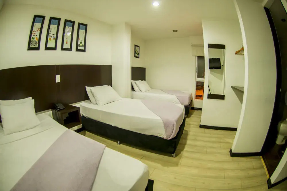 Hotel Plaza San Miguel