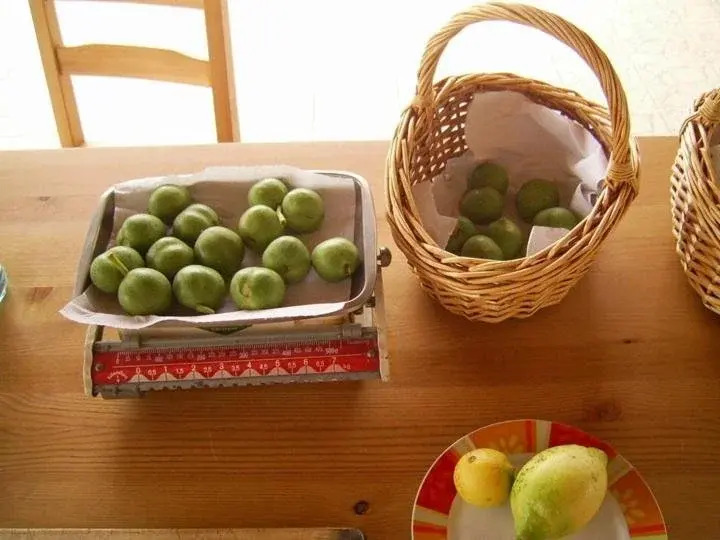 B&B Tra i Frutti