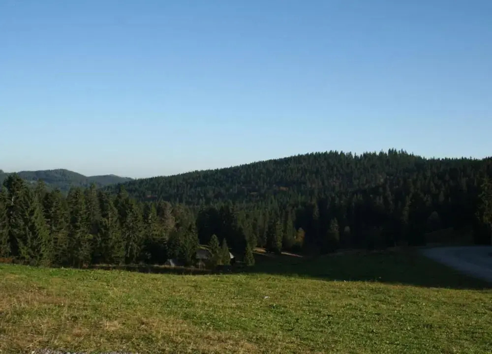 Ferienwohnung, Furtwangen