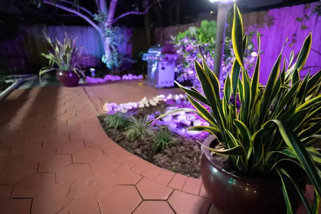 Your Cozy Spacious home with Heated Pool