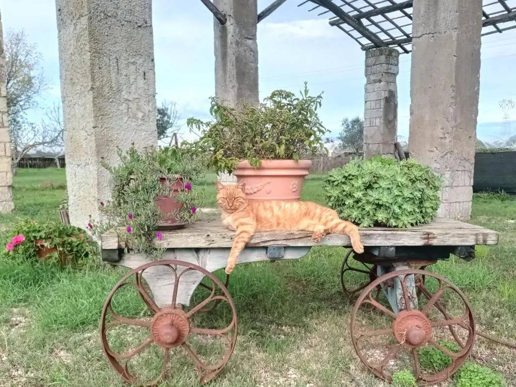 Il Casale di Giulia di Aprilia