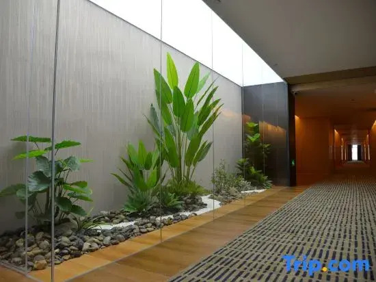 Longshun Hotel