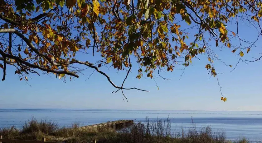 Sandskogens Camping & Stugor