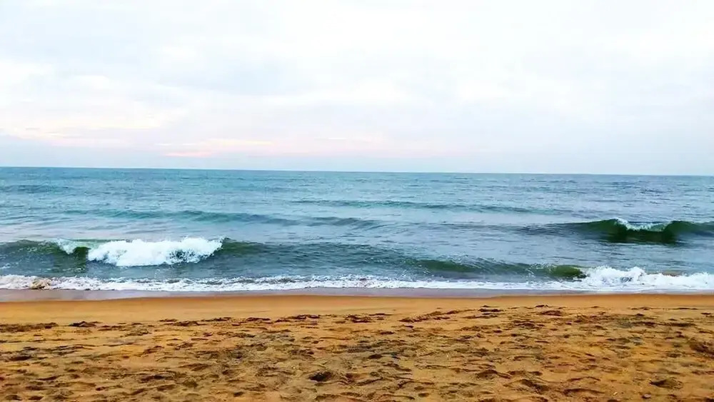 Olas Negombo
