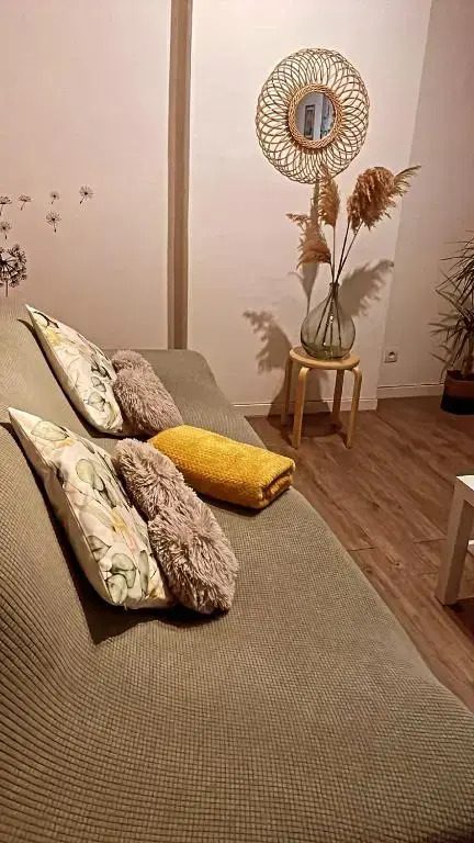 Grand T1 de 38 m2 au design épurée