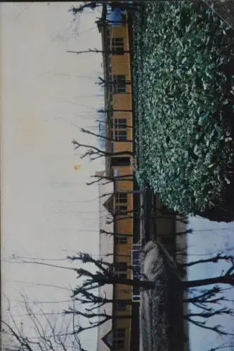 Kings Houseboats