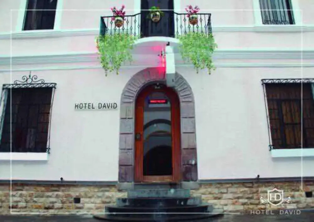 Hotel David