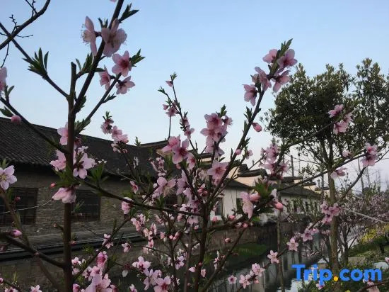 Wuzhen Flower House