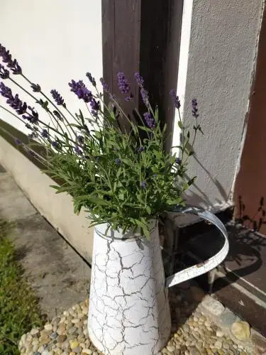U Tomíčků