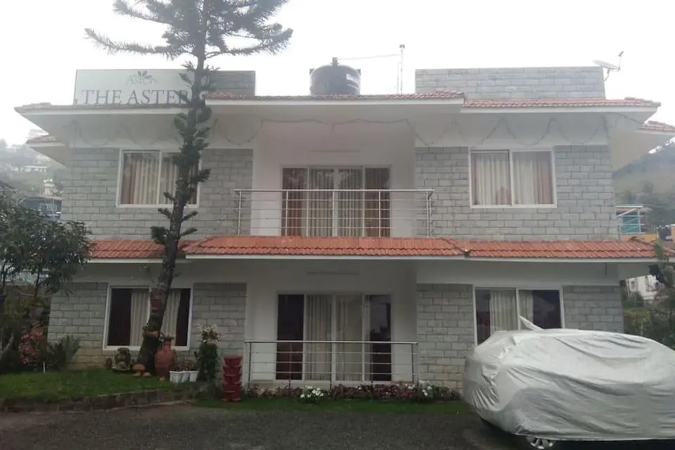 The Asters