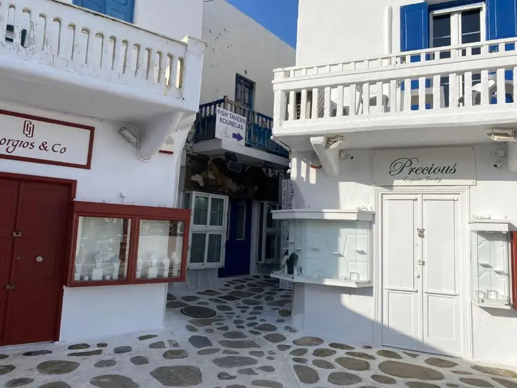 BUDGET DOWNTOWN APARTMENT- Harma I