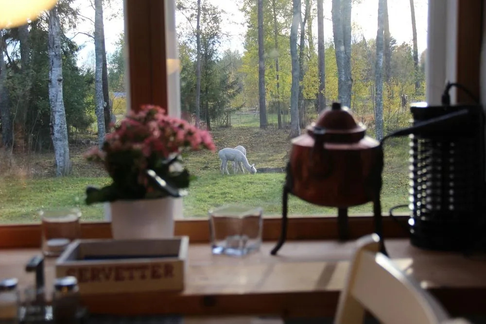 Norrängens Alpacka - Det lilla boutiquehotellet med en fluffy twist