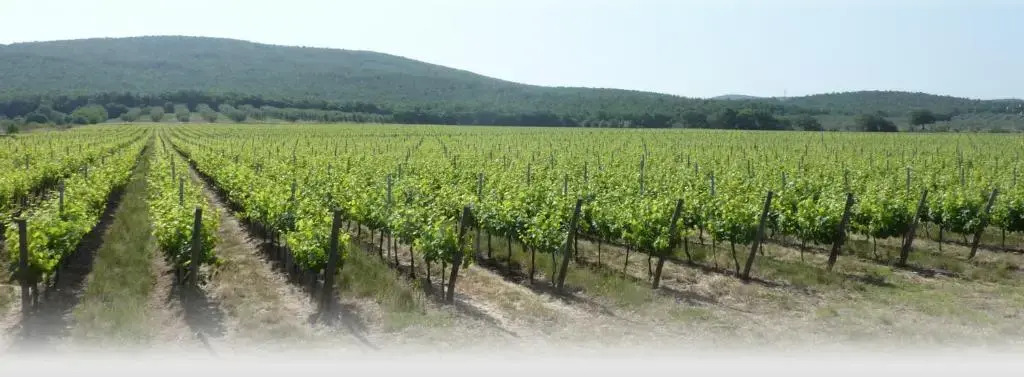 Le Stanze Di Zelinda