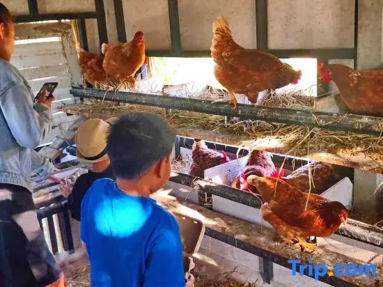 Tantai Eco Farm Stay At Khao Yai