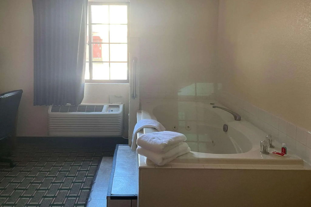 Econo Lodge Kalamazoo near Wings Stadium
