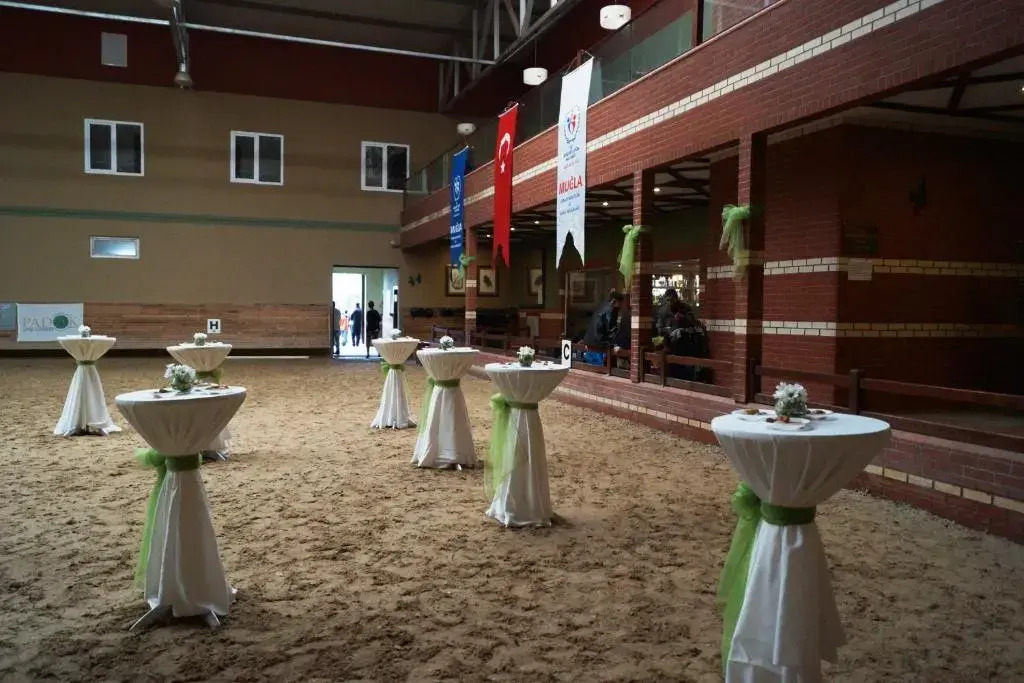 Padok Premium Hotel & Stables