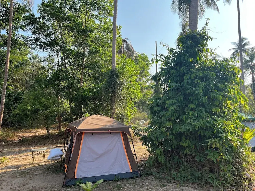 Tent Room ผู้ใหญ่วุ้น