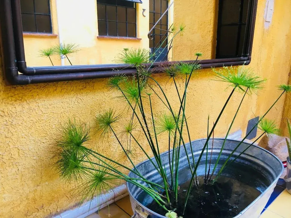 Andaina Hostel