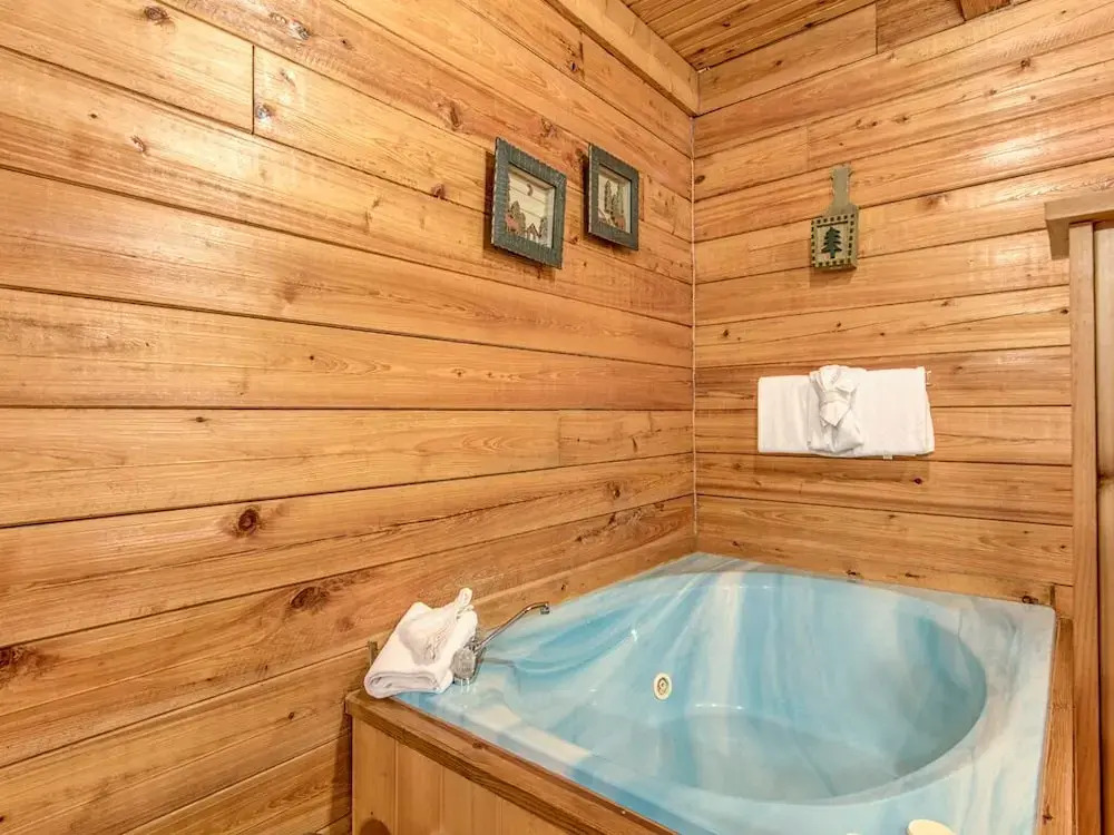 Mountain Top View, 4 Bedrooms, Sleeps 10, Arcade, Hot Tub, Air Hockey