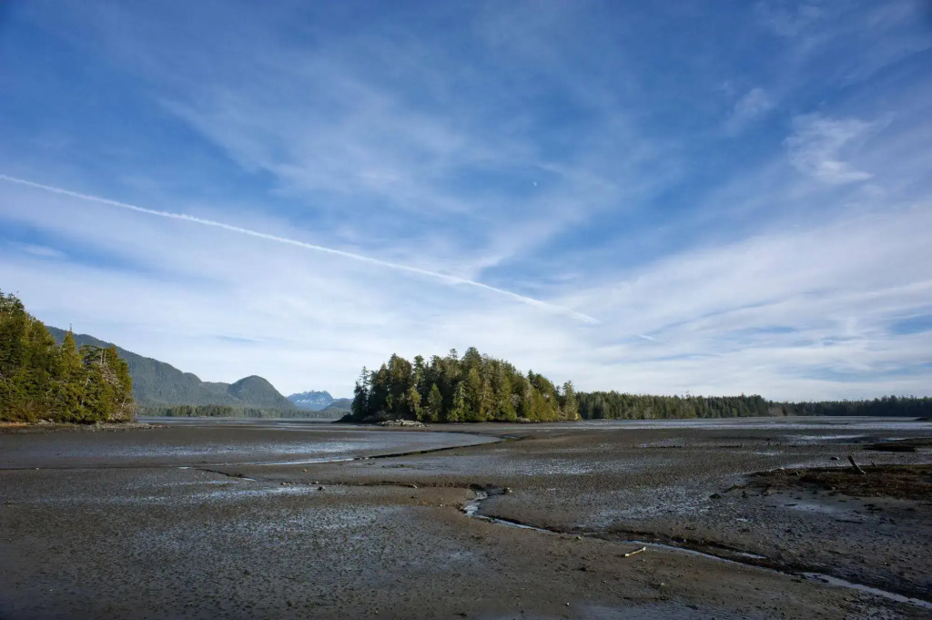 Hotel Zed Tofino