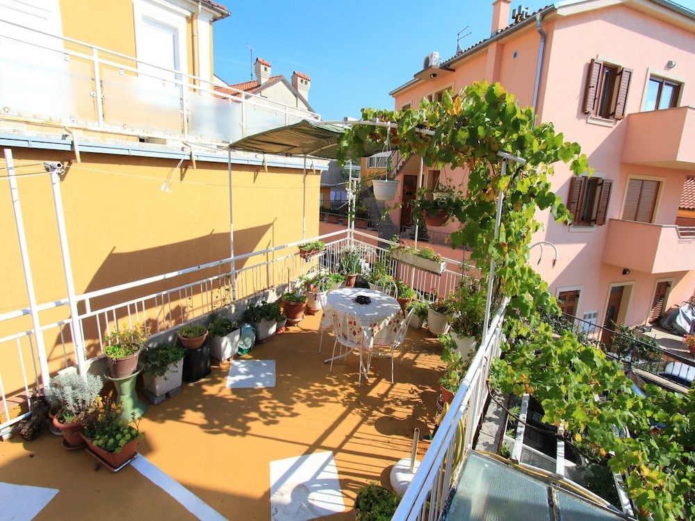 Apartments Feda