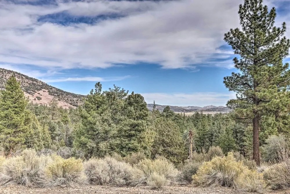 Quiet Big Bear City Cabin w/ Loft: 5 Mi to Village