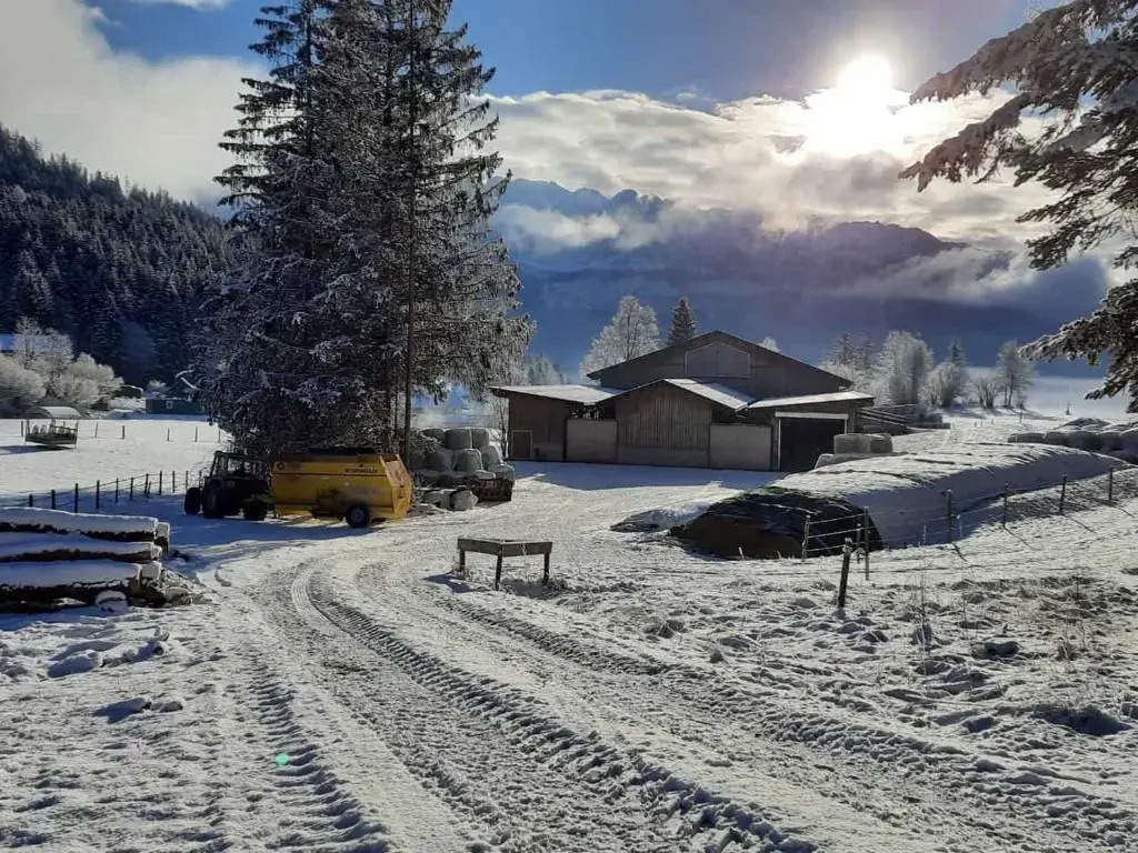 Urlaub am Bauernhof bei Familie Steinbrecher