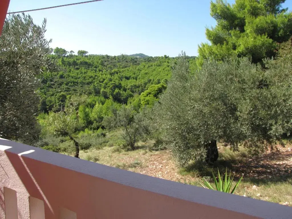 Elia house 1 astoning sea view among the olive trees