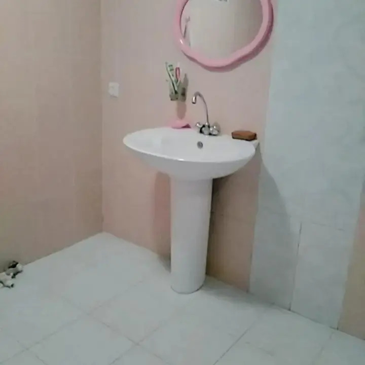 House Borjomi